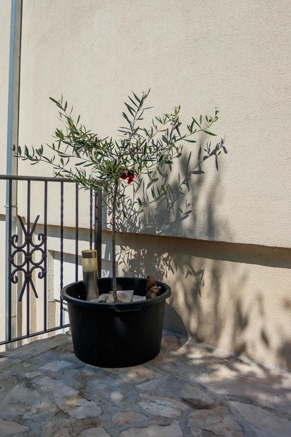 Apartmani Petar Tivat Bagian luar foto